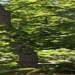 Meet your Posher, Genesis